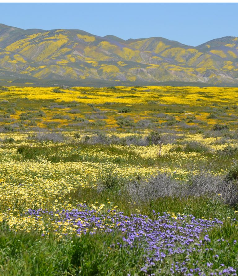 Carrizo Plains and Temblor Range.jpg