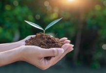 Taylor Made in Descanso