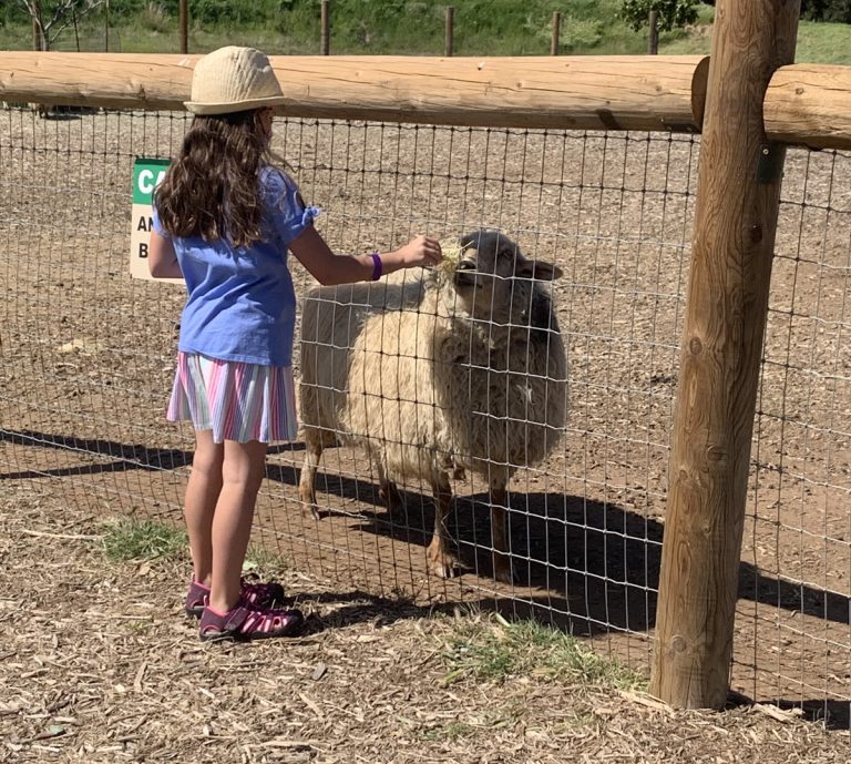 New animals retreat to greener pastures