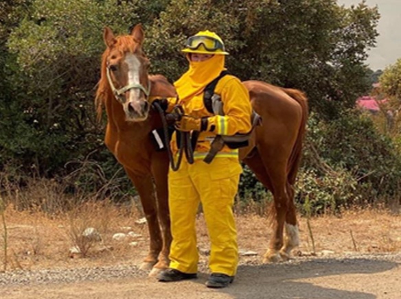 SDHS ERT Rescues horse behind fire lines 090809