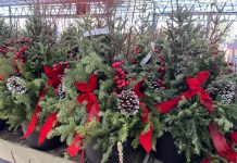 Create your own winter containers