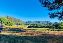 The early days of Pine Valley Mountain Retreat