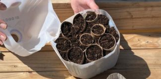 Easy and affordable winter seed starting