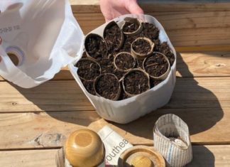 Easy and affordable winter seed starting