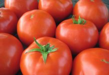 Plan to grow your own fresh vegetables