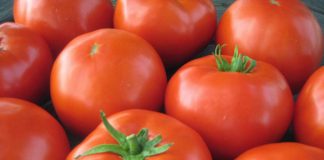 Plan to grow your own fresh vegetables