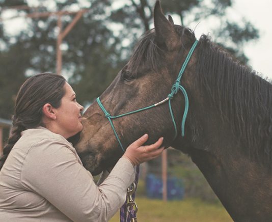 Horses help veterans heal