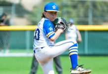 Little League launch pad reaches section level for local teams