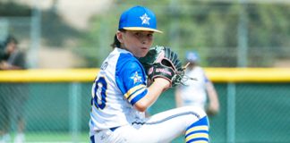 Little League launch pad reaches section level for local teams