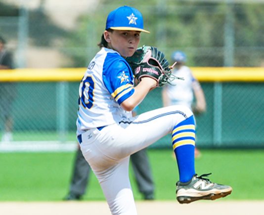 Little League launch pad reaches section level for local teams
