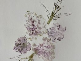 Capture the beauty of your garden with flower art